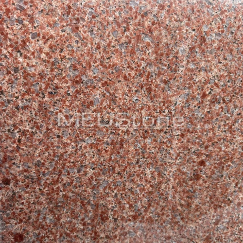 Pink Rose - Granit