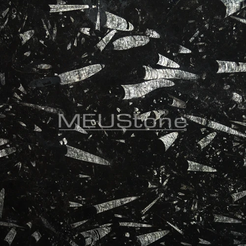 Fossil Black - Marmur