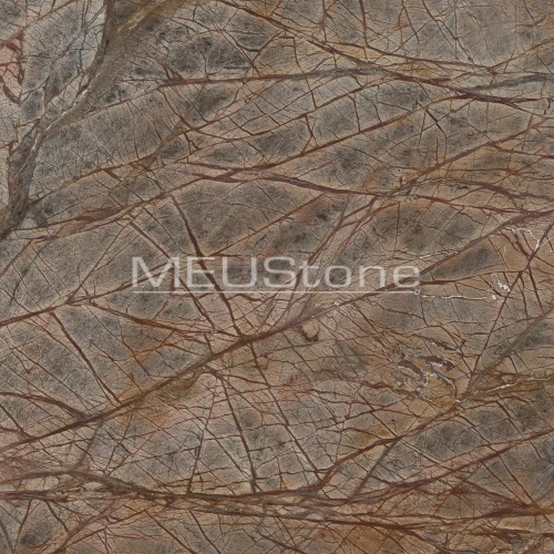 Rain Forest Brown - Marmur